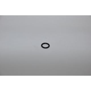 Johnson O-Ring (05-06-513) 0.2173.432
