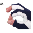 Plastimo Handschuhe FIRST+ Gr. L 2102023
