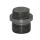 Bukh Gewindestopfen 000E3959