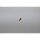 Johnson Schraube F5B (05-04-162) 0.0279.500