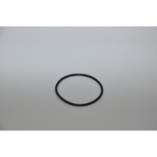 Johnson O-Ring (05-06-618) 0.2173.440