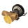Johnson Impellerpumpe F9B-5600 (DWP376) 10-13027-99