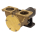 Johnson Impellerpumpe F9B-3000TSS 10-13177-01