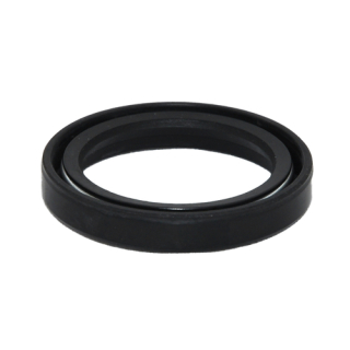 Bukh Radialdichtring BW7, hinten (27086) 620A1239