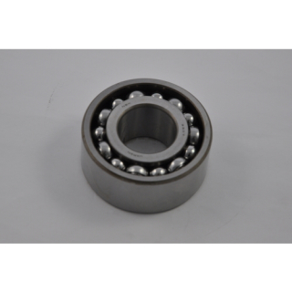 Alamarin Bearing L0122