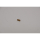 Johnson Pin F5/F7B/F70B 01-42400