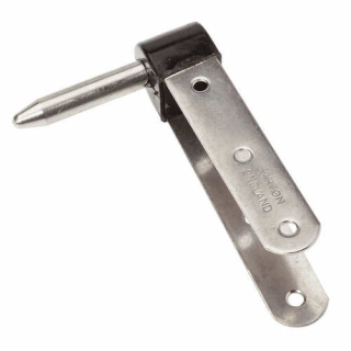 PLASTIMO RUDDER PINTLE 22MM 181216
