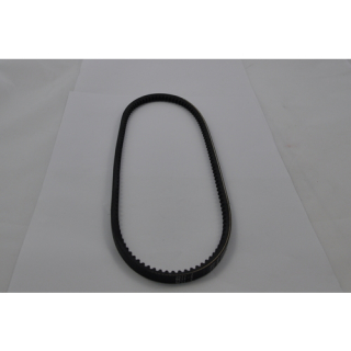 Alamarin Drive belt 10  x 800 5703