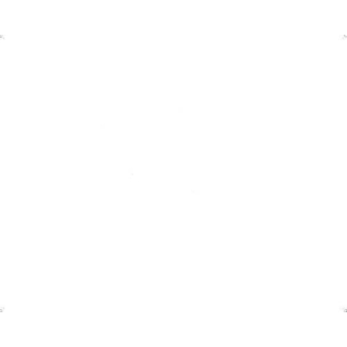 Alamarin Plastic bearing 11329