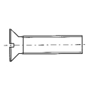 BUKH PRO S. STEEL SCREW E5203020