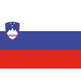 BUKH PRO SLOVENIA FLAG IN POLYESTER 20X30 N2112130