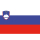 BUKH PRO SLOVENIA FLAG IN POLYESTER 20X30 N2112130