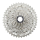 SHIMANO Kassetten SHIMANO 11-fach MTB ICSM510011142