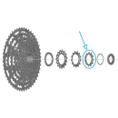 SHIMANO Ritzel CS-LG600 Y0NC11000