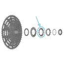 SHIMANO Ritzel CS-LG600 Y0NC13000
