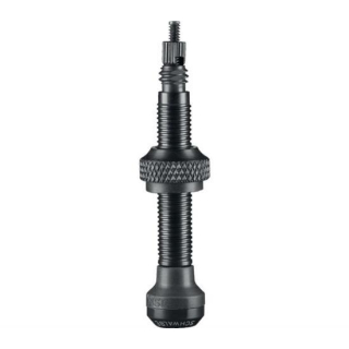 Schwalbe Tubeless-Ventil SB3470
