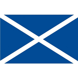 Talamex Flagge SB Schottland 20x30cm 27366020