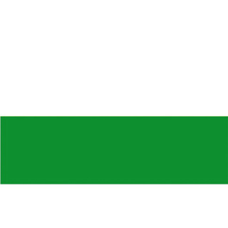 Talamex Flagge SB Sachsen 20x30cm 27399020