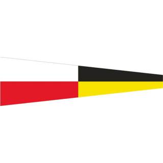 Talamex Flagge SB Signal 9 30x36cm 27503409
