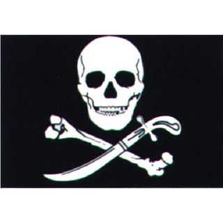 Talamex Flagge SB Pirat 30x45cm 27605008