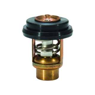 Quicksilver Thermostat 25-30PS 16130110