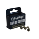 Talamex Linsensenkschraube Kreuz M6x30 (4) 40101152