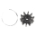 Talamex Nitrile Inboard Impeller Spline-Drive mit Kappe 17200214