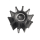 Talamex Neoprene Inboard Impeller Single-flat-Drive 17200148