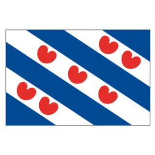 Talamex Flagge SB Friesland 1.5x2.25m 27201150