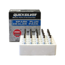 Quicksilver Zündkerze BR6FS bulk 14600229