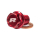 RFX Magnetische Ablassschraube [M12 x 12 mm x 1,50 - rot  KTM / 85 SX BIG WHEELS 19/16 / 85 SX / 2010 / OFFROAD / MX , 1128316001