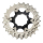 Deal SHIMANO Ritzel 21-23-25 12-25 CS-5800 Y-1PJ98040