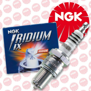 NGK | Zündkerze | Iridium | BPR6HIX | , 019061  HUSQVARNA / TC 125 / TC 125 / 2020 / OFFROAD / MX , 019061