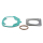 Dichtungssatz | Peugeot | AC | liegend |  , 030353  BETA / RR 250 2T RACING / RR 250 2T / 2023 / OFFROAD / ENDURO , 030353