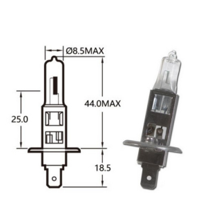 Hauptscheinwerferlampe | 12V | 55W | H1 | P14,5s , 039017  HUSQVARNA / TE 300 / TE 300 / 2027 / OFFROAD / ENDURO , 039017