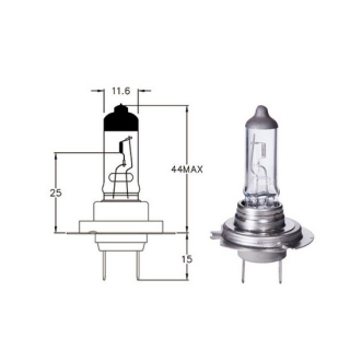 Hauptscheinwerferlampe | 12V | 55W | H7 | Px26d , 039019  HUSQVARNA / FE 450 / FE 450 / 2027 / OFFROAD / ENDURO , 039019