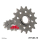 Ritzel 15Z  |  520 , JTF403.15  BETA / RX 300 2T / RX 300 2T / 2023 / OFFROAD / MX , JTF403.15