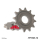 Ritzel 12Z  |  520 , JTF1323.12  BETA / RR 200 2T / RR 200 2T / 2021 / OFFROAD / ENDURO , JTF1323.12