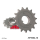 Ritzel 15Z  |  428 , JTF1594.15  KTM / 350 SX-F / 350 SX-F / 2023 / OFFROAD / MX , JTF1594.15