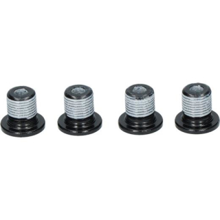 SHIMANO Kettenblattschrauben für FC-M8000 Y-1RL98060