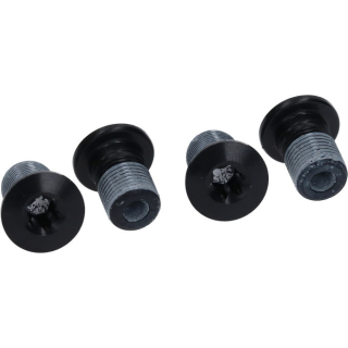 SHIMANO Kettenblattschrauben für FC-M8000 Y-1RL98100