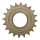 SHIMANO Freilaufritzel SF-1200, 20, 1 Stk. I-SF120020