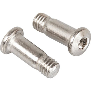 SHIMANO Schaltrollenschraube RD-M530 M5 x 13,95 mm 2 Stück Y-5VM98060
