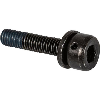 SHIMANO Schraube 15 mm M5 x 21,8 für 15 mm Rahmen Flat-Mount-Adapterrahmen Y-81743150