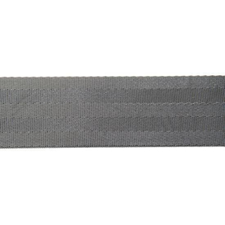 100m-Rolle POLYESTER-Ausreitgurt         blau 50mm, GW8250