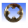 EBC-Bremsscheibe MD4014, 234014