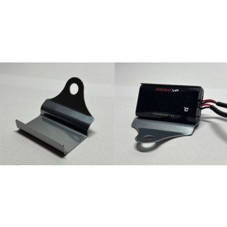 Halter Silber